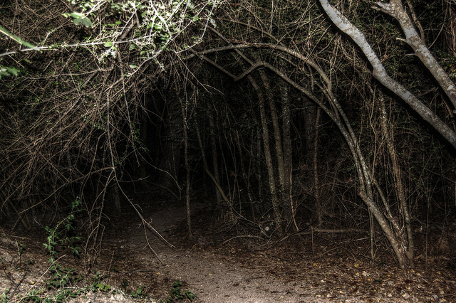 Haunted Hikes in Oglebay October 22