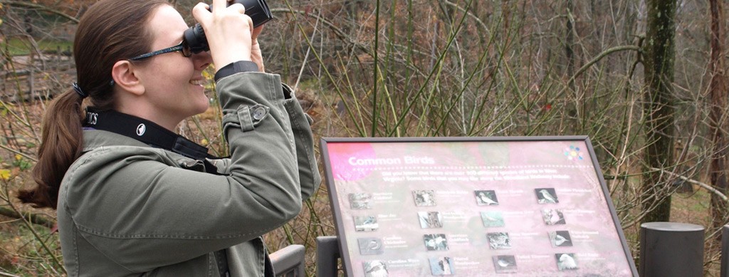 Birding at the Schrader Center, Oglebay