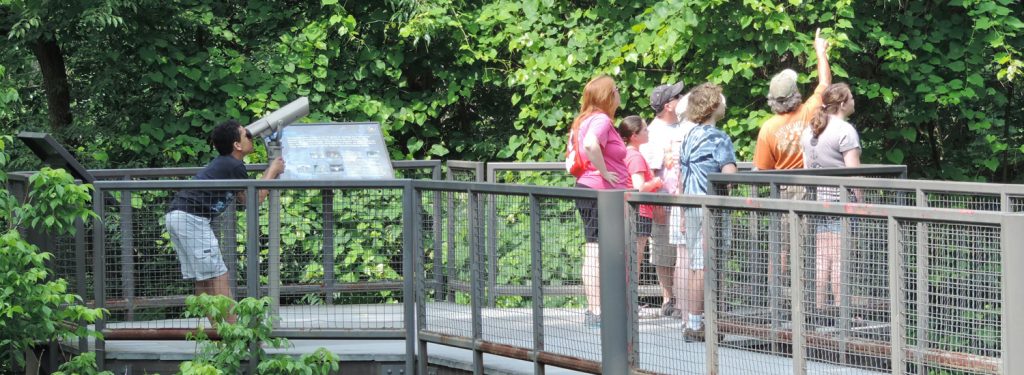 Guided Nature Walk a the Schrader Center, Oglebay